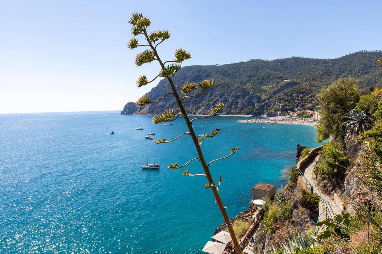 Antica Ancora Rooms Monterosso al Mare Exterior foto